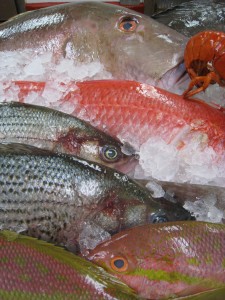 Fresh Market fish MCB