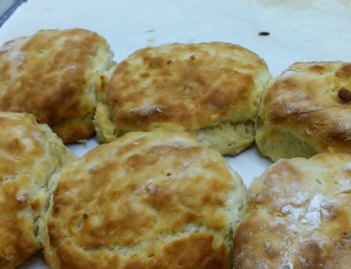 How to Bake the Best Buttermilk Biscuits
