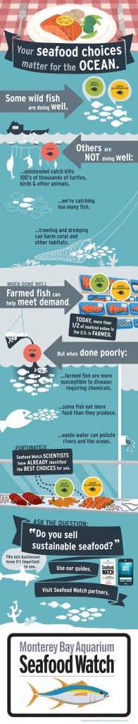Seafood Watch infographic