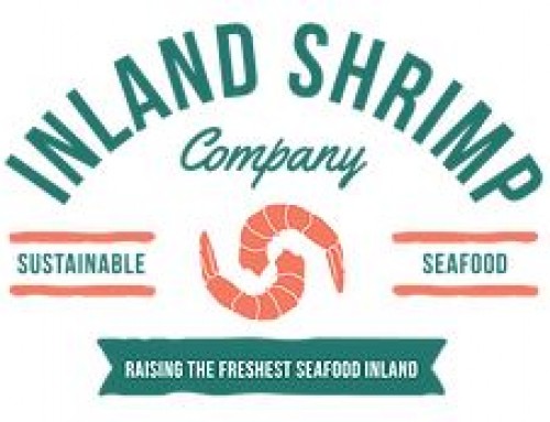 Inland Shrimp Company: Farming to New Heights