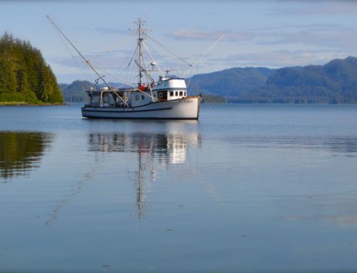 Women Fishermen In Alaska: “It’s A Great Place To Work”