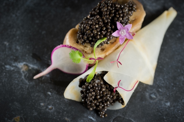 Caviar cone mote jeremy scott