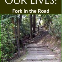 TALES OF OUR LIVES FORK IN THE ROAD
