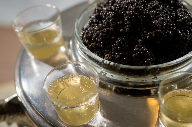 caviar champagne mote jeremy scott