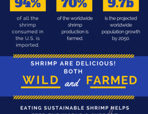 Shrimp 101 Infographic