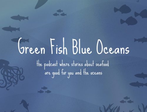 Green Fish Blue Oceans Podcast Set to Launch in 2017