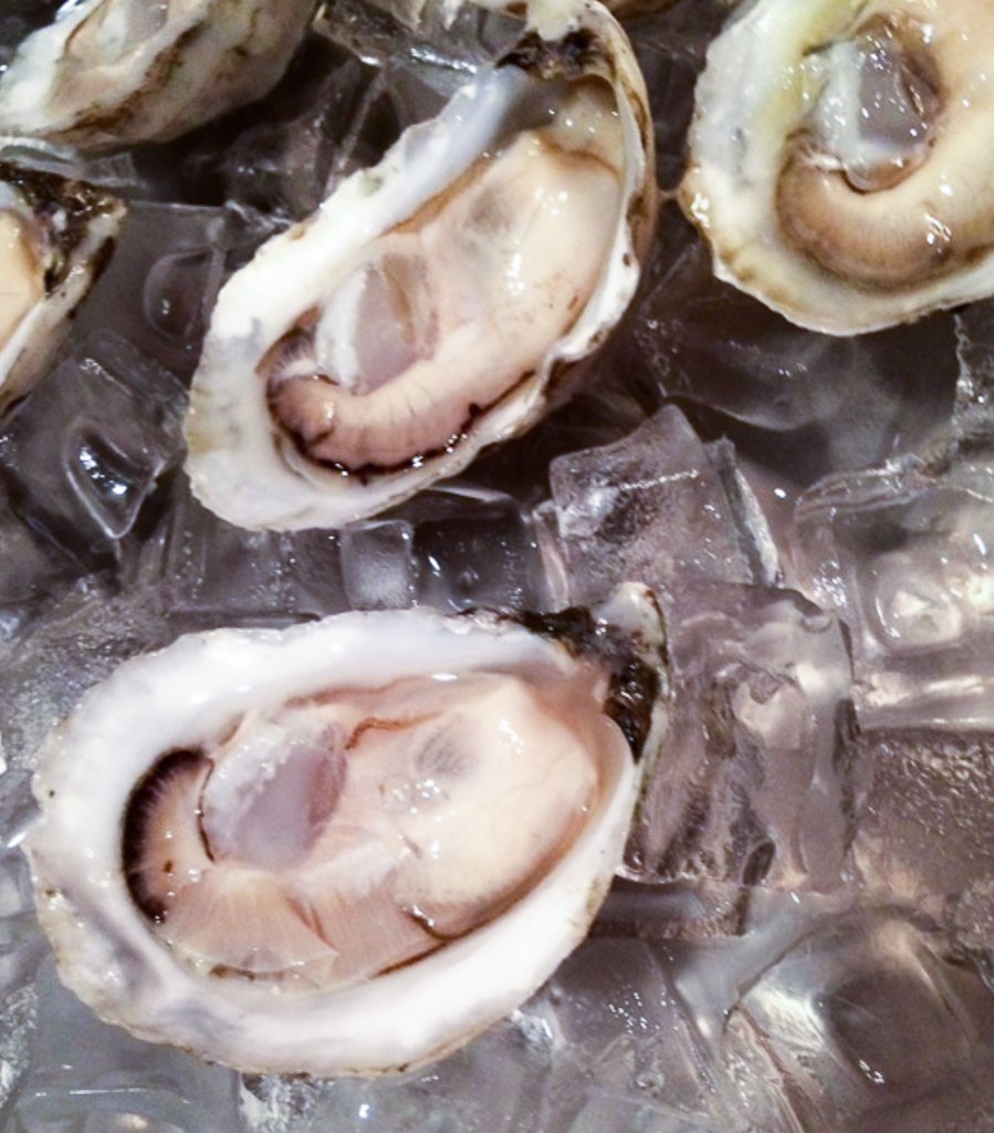 Eat More Oysters