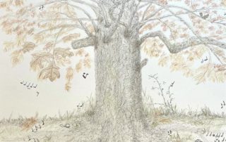 Colored pencil drawing on a n oak tree with oragnge leaves and musical notes in the roots
