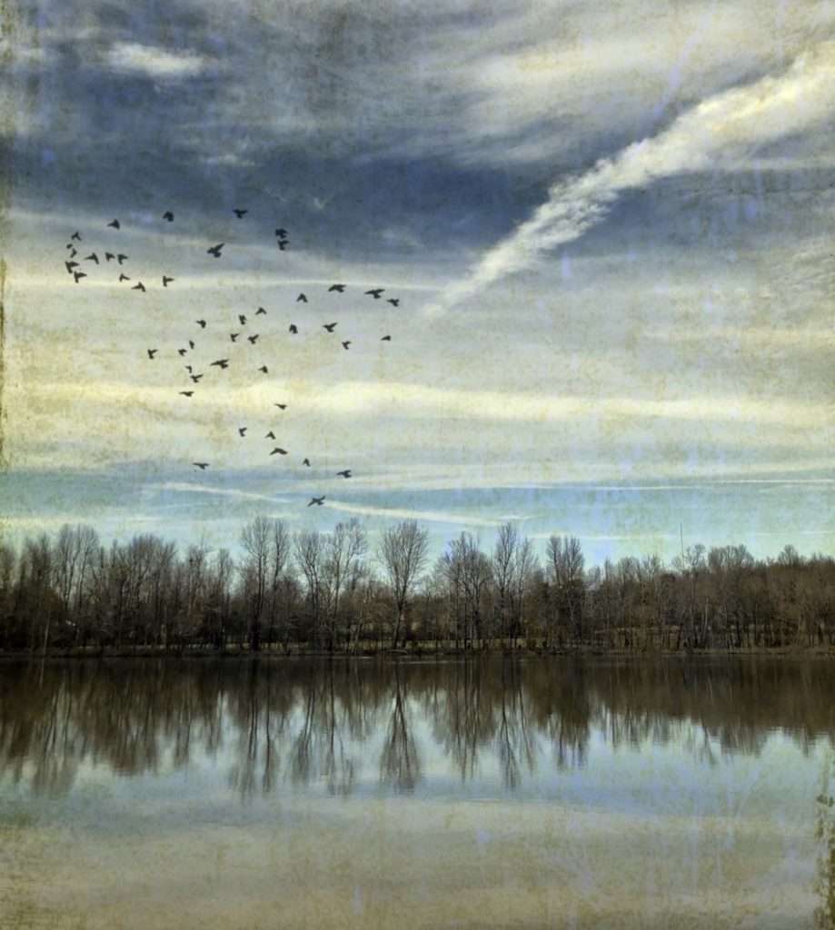 Lake Pee Wee during fall in ombre shades of blue and green, a flight of birds overhead
